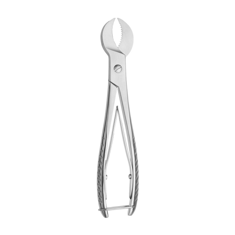 Plaster Shear