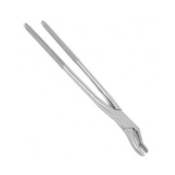 equine dental forceps